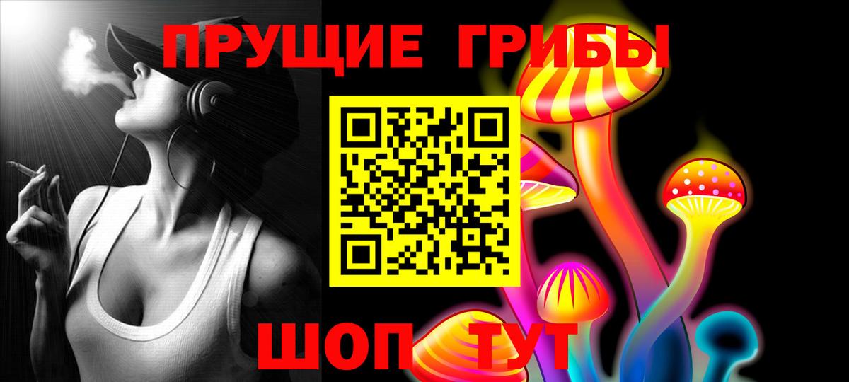 Псилоцибиновые грибы прущие грибы Кызыл